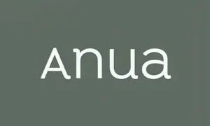 Anua, Korean skincare brand
